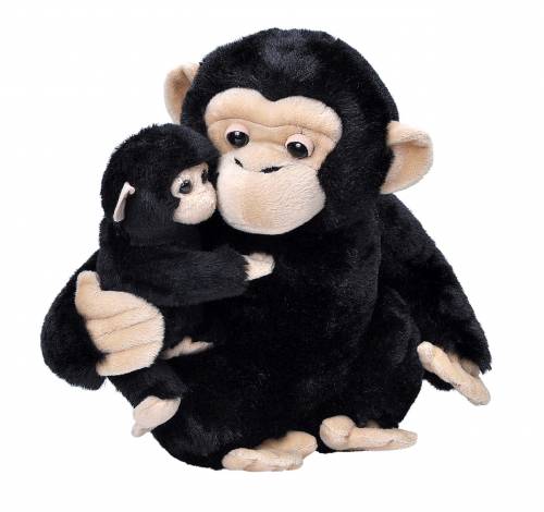Mama si Puiul - Cimpanzeu