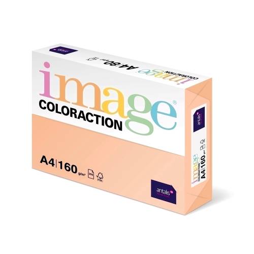 Carton color Coloraction A4 160g 250 colitop somon-Savana
